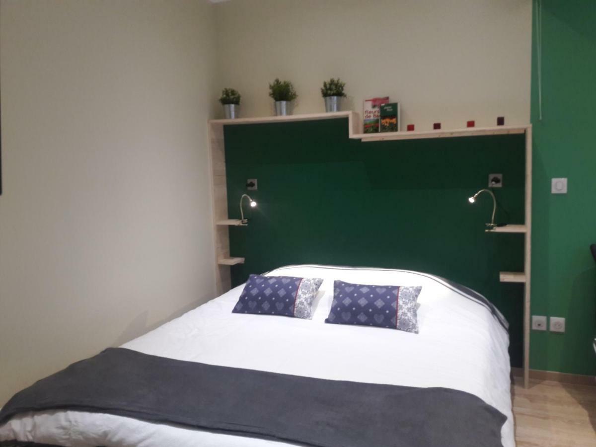 Splendide Studio Centre 科尔马 外观 照片